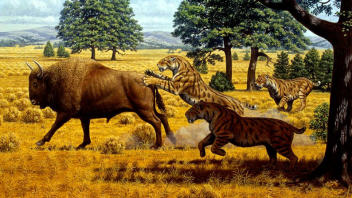 smilodon-tigre-chasse smilodon-tigre-chasse