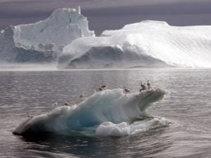 Arctique-glace