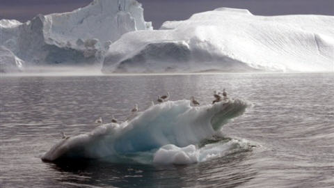 Arctique-glace Arctique-glace