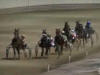 Course de chevaux Course de chevaux