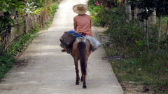 Une paysanne philippine Une paysanne philippine