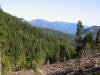Une forêt du Québec Une forêt du Québec