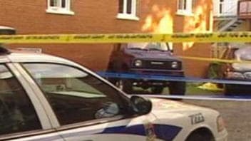 Le poupon a été retrouvé mort, derrière un immeuble de Limoilou Le poupon a été retrouvé mort, derrière un immeuble de Limoilou