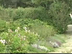 jardins-metis jardins-metis