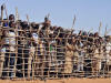 Camp de réfugiés à Goz Beida, dans le sud du Tchad, en mars dernier. Camp de réfugiés à Goz Beida, dans le sud du Tchad, en mars dernier.