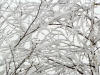 Hiver Hiver