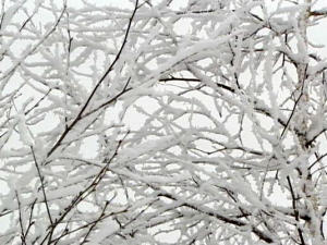 Hiver Hiver