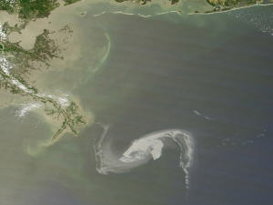 Marée de pétrole dans le golfe du Mexique