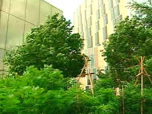 Le Centre des sciences de l'UQÀM organise des visites guidées pour faire connaître les potagers de Montréal Le Centre des sciences de l'UQÀM organise des visites guidées pour faire connaître les potagers de Montréal