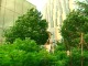 Le Centre des sciences de l'UQÀM organise des visites guidées pour faire connaître les potagers de Montréal Le Centre des sciences de l'UQÀM organise des visites guidées pour faire connaître les potagers de Montréal