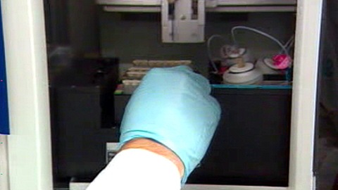 Un chercheur procède à des tests Un chercheur procède à des tests