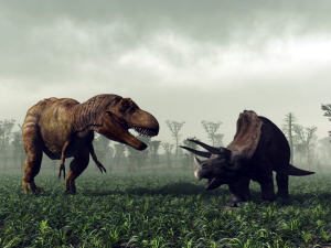 Des dinosaures Des dinosaures