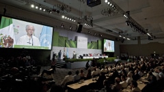 Cérémonie d'ouverture de la 16e Conférence de l'ONU sur les changements climatiques. Cérémonie d'ouverture de la 16e Conférence de l'ONU sur les changements climatiques.