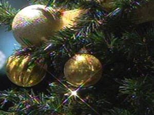 Sapin de Noël Sapin de Noël