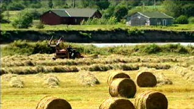 Agriculture Agriculture