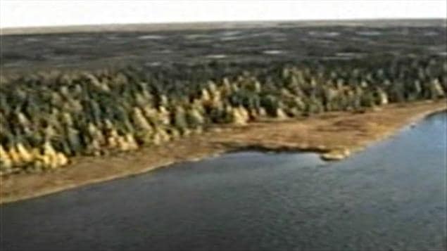 Forêt boréale Forêt boréale