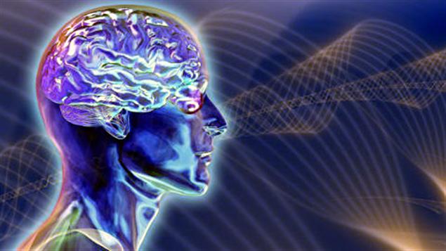 Le cerveau capte des ondes Le cerveau capte des ondes
