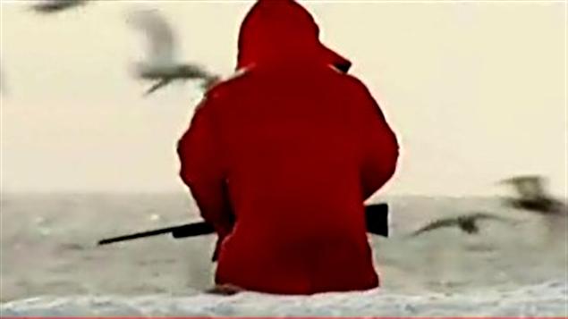 Un chasseur de phoque Un chasseur de phoque