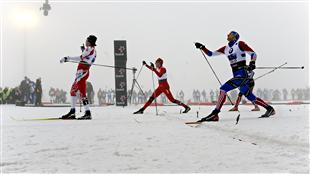 harveyoslo harveyoslo