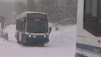 Les autobus sont retournés au garage de la STS vers 13 h. Les autobus sont retournés au garage de la STS vers 13 h.