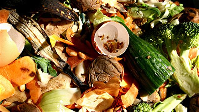 Compost Compost