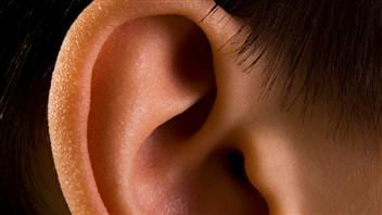 Gros plan d'une oreille Gros plan d'une oreille