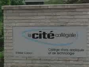 La Cité collégiale