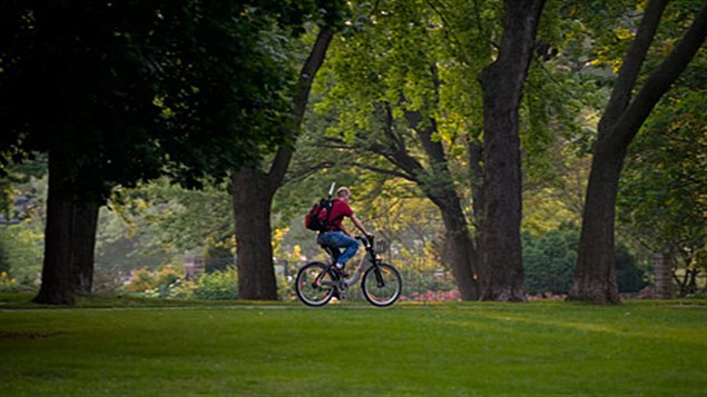 Le parc La Fontaine Le parc La Fontaine
