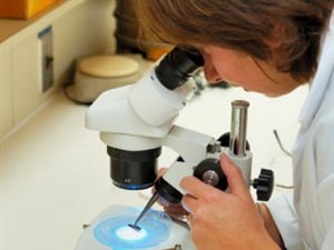 Recherche scientifique