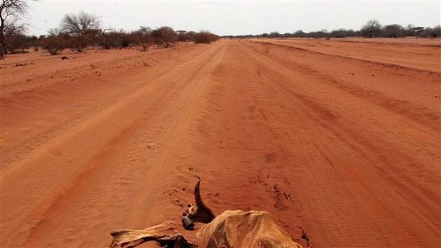 Une route non loin de la ville de Wajir, au Kenya (6 juillet 2011) Une route non loin de la ville de Wajir, au Kenya (6 juillet 2011)