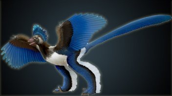 Xiaotingia shengi Xiaotingia shengi