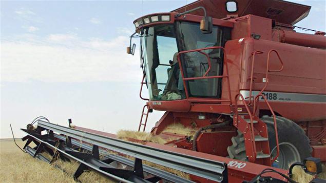 Les fermiers ont voté pour le maintien de la mise en marché de leurs grains Les fermiers ont voté pour le maintien de la mise en marché de leurs grains