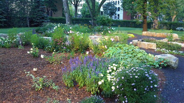 Le jardin écologique de la paix se veut un mémorial vivant dédié à Anastasia De Sousa, victime de la fusillade à Dawson. Le jardin écologique de la paix se veut un mémorial vivant dédié à Anastasia De Sousa, victime de la fusillade à Dawson.
