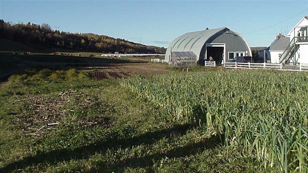 ferme-champs ferme-champs