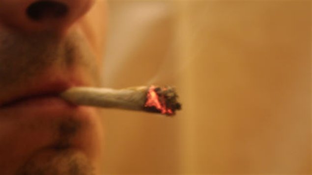 Fumeur de marijuana Fumeur de marijuana