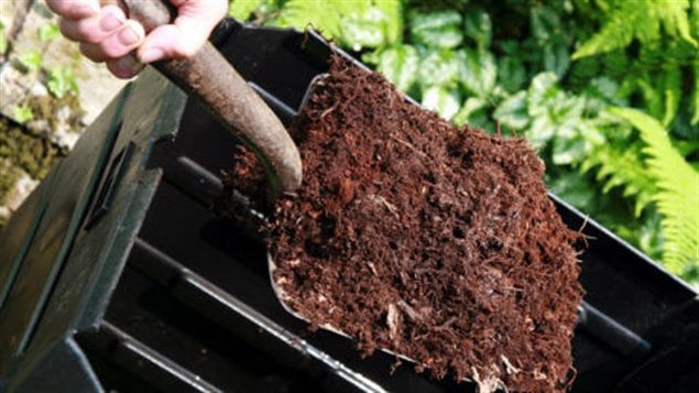 compost compost