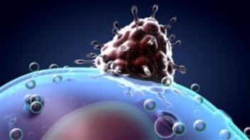 Le virus s'attaque à une cellule. Le virus s'attaque à une cellule.