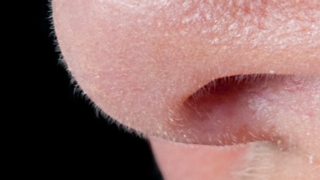 Un nez Un nez