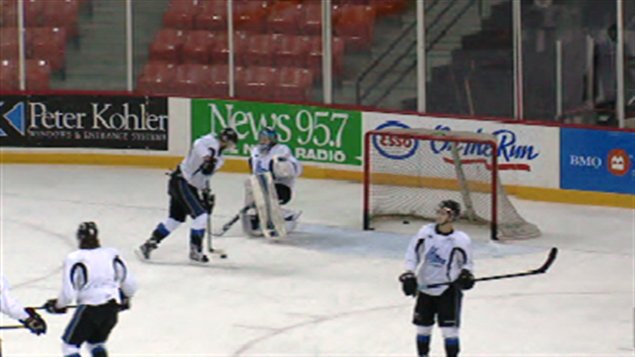 Sea Dogs Sea Dogs
