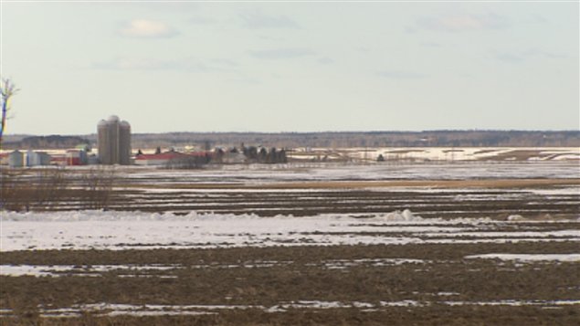 Agriculture Agriculture