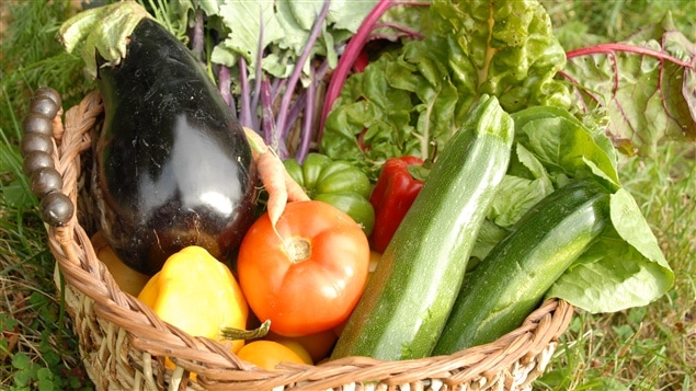 Un panier de légumes biologiques Un panier de légumes biologiques