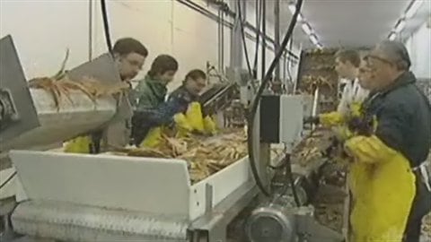 Crabiers-du-Nord Crabiers-du-Nord