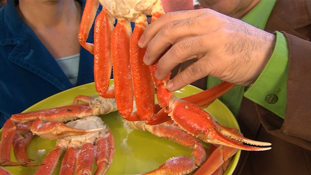 La saison du crabe est de retour! La saison du crabe est de retour!