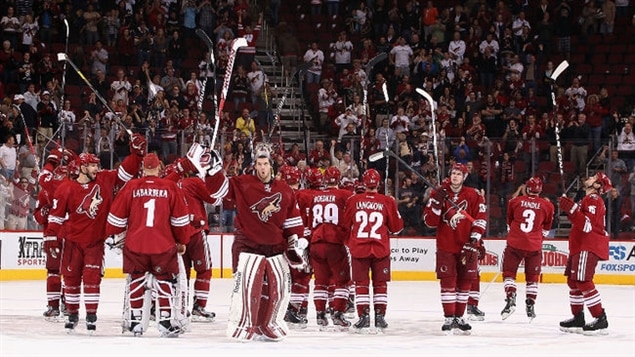 Les coyotes de Phoenix Les coyotes de Phoenix