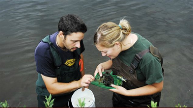 Deux scientifiques du programme de recherches dans la Région des lacs expérimentaux Deux scientifiques du programme de recherches dans la Région des lacs expérimentaux