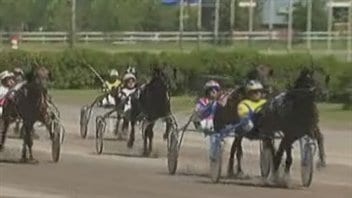 Les courses de chevaux seront de retour à Trois-Rivières dès septembre. Les courses de chevaux seront de retour à Trois-Rivières dès septembre.