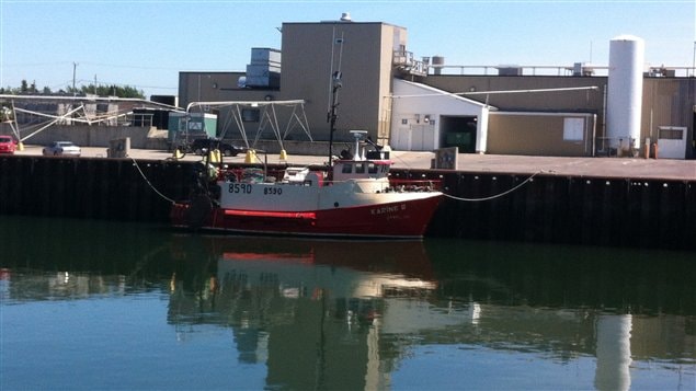 usine-crevettes-matane usine-crevettes-matane