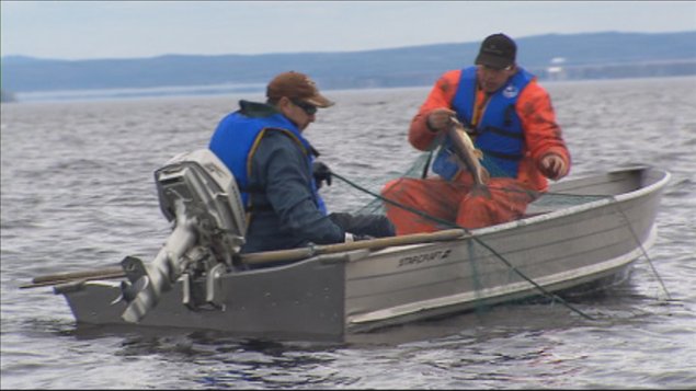 La pagaïe sur la pêche avec le grand-père
