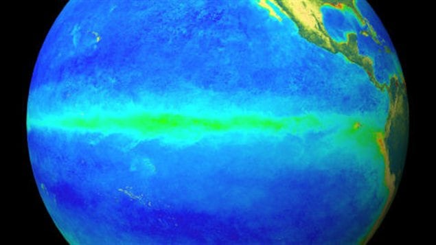 Le phénomène marin El Nino, en 1998 Le phénomène marin El Nino, en 1998