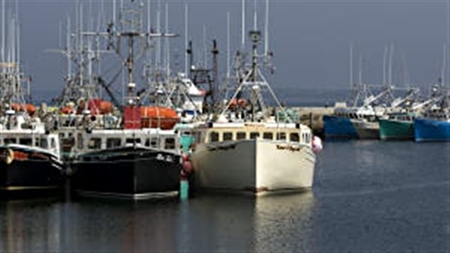 bateau-peche bateau-peche